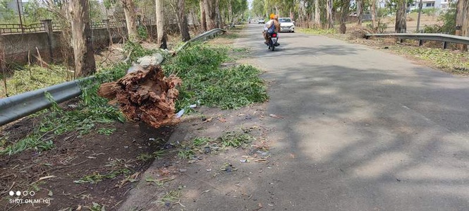 Image from: Storm causes Rs 2 crore damage to powercom in Tarn Taran