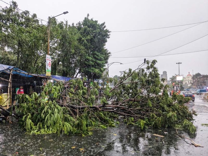 Image from: Telangana: Elderly woman dies after tree falls on house in Meerpet during heavy winds