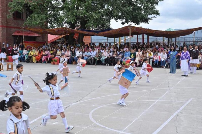Image from: Tiny gymnasts showcase talent during sports day at Auckland