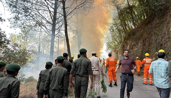 Image from: Forest fire mock drill held in Mandi