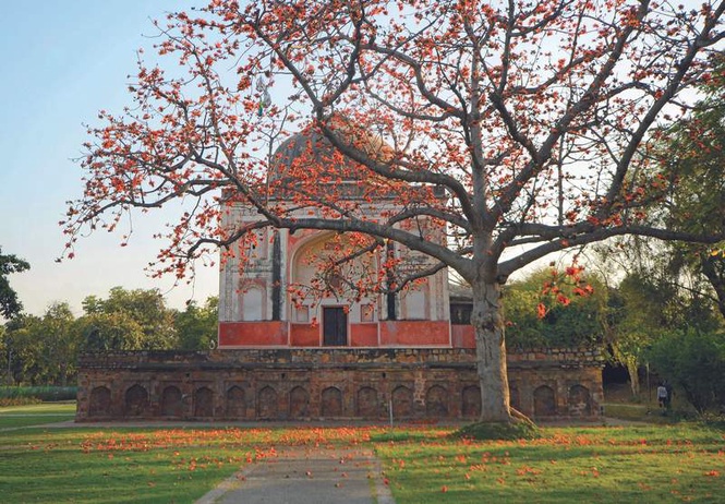 Image from: The delicate quiet of Sunder Nursery