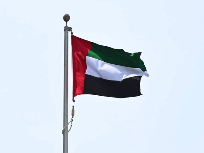 Image from: UAE, Mozambique Presidents discuss strengthening cooperation in phone call