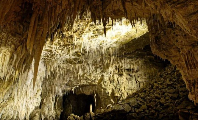 Image from: Scientists Dug Into an Ancient Cave and Found Remnants of a Lost World From 1 Million Years Ago