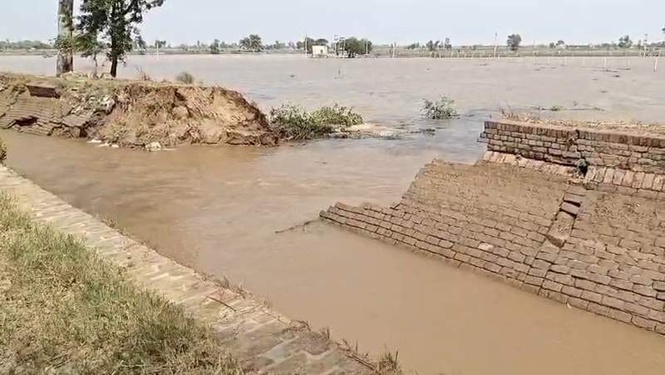 Image from: Canal breaches : Faridkot’s flooded fields expose deeper flaws