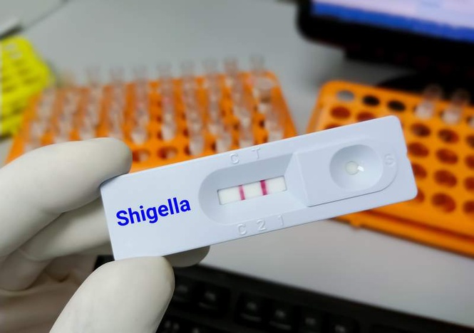Image from: Seven-year-old dies of Shigella infection in Kerala; fourth fatality this year