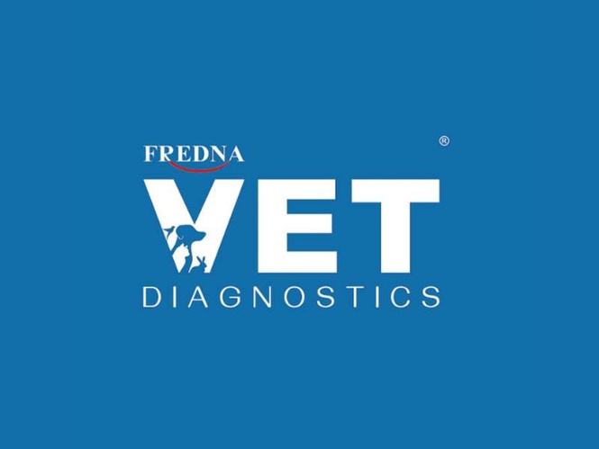 Image from: Fredna Vet Diagnostics Performs CT scan on Indian Spectacled Cobra — A Milestone in Exotic Animal Diagnostics