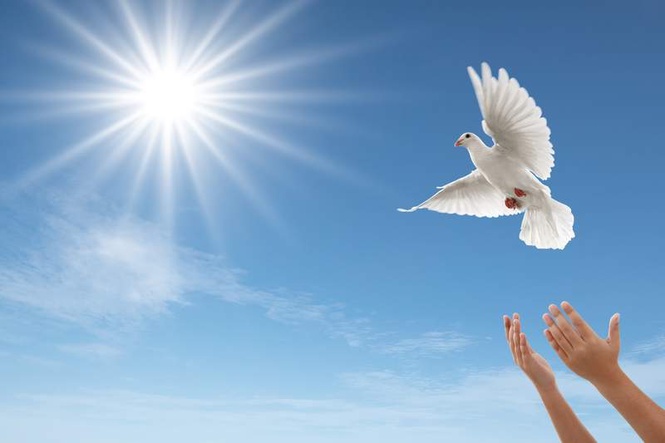 Image from: There’s more to peace than absence of war