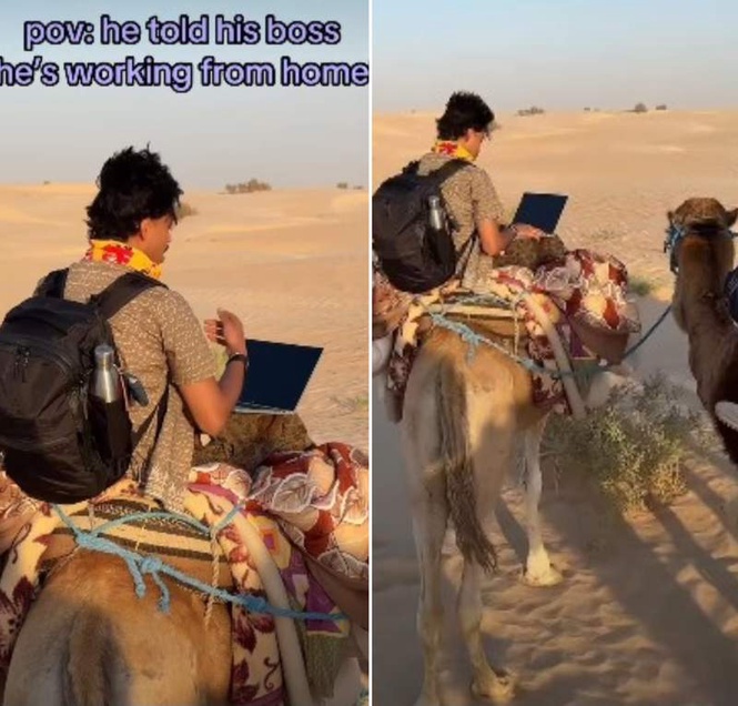 Image from: Man ’Works From Home’ on camel in Sahara Desert, Internet can’t stop laughing
