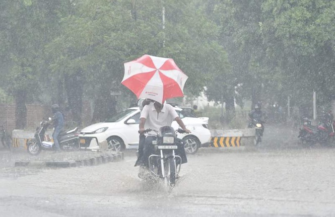 Image from: Rain returns to Punjab, Chandigarh as western disturbance revives weather activity till June 21