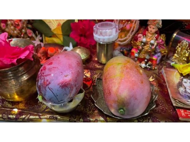 Image from: World's costliest 'Miyazaki' mango offered to Lord Ram at Ayodhya's Ram Mandir