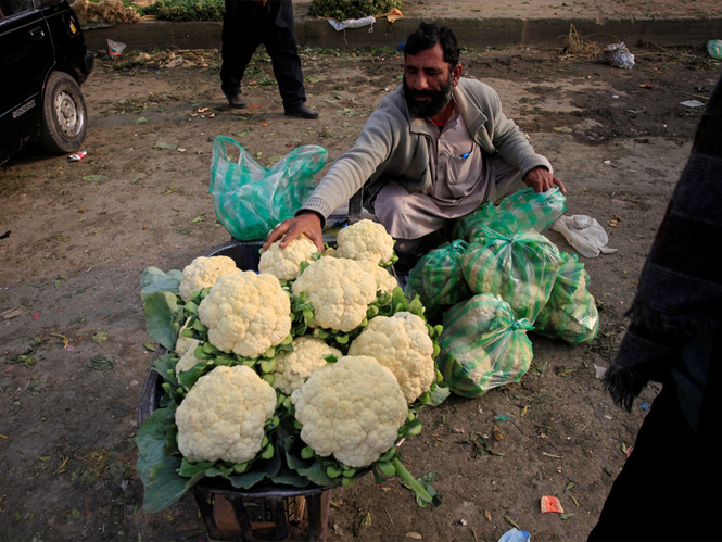 Image from: Sindh agriculture leaders slam Pakistan budget for neglecting farming sector