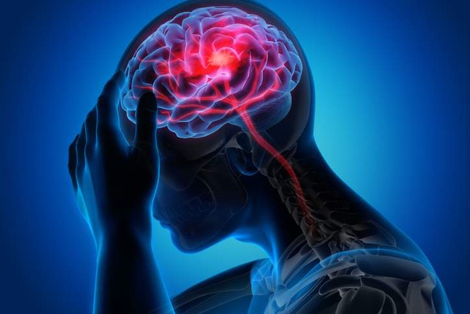 Image from: Reinforcing body clock rhythms may help brain recover from stroke: Study