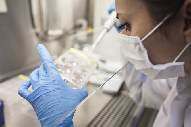 Image from: Fellowship in Reproductive Medicine