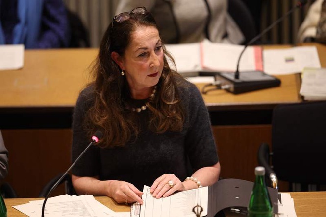 Image from: Teen daughter of German politician charged over knife attack on mother