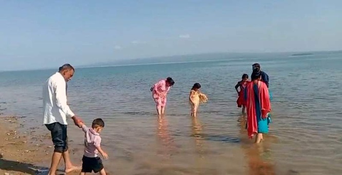 Image from: Unaware of deep water, tourists risk lives at Bathu ki Ladi in Pong wetland