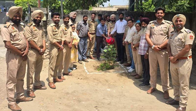 Image from: Hoshiarpur Forest Division  to plant 6.5 lakh saplings