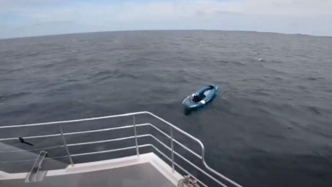 Image from: Dog swept out to sea in kayak: sailors make an incredible discovery two hours later