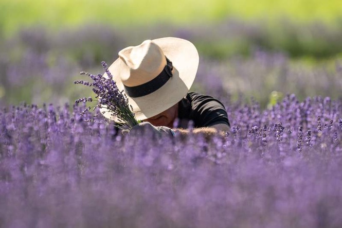 Image from: Temperatures could hit 37 degrees as Germany awaits heatwave