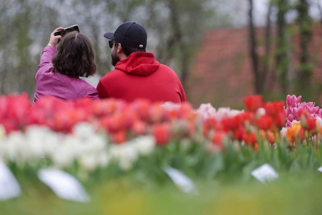 Image from: Teens see social media more positively than parents, poll finds