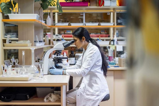 Image from: India unveils PMRC scheme to attract global Indian scientific talent