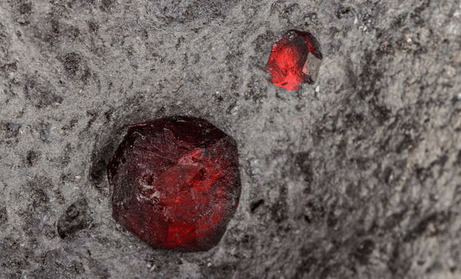 Image from: Scientists Opened a Mars Meteorite and Made an Unprecedented Discovery