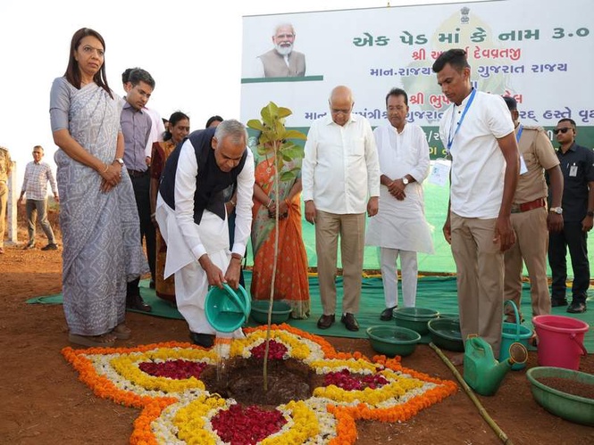 Image from: Gujarat Governor and CM launch "Ek Ped Maa Ke Naam 3.0" in Navsari; state targets 8 crore saplings