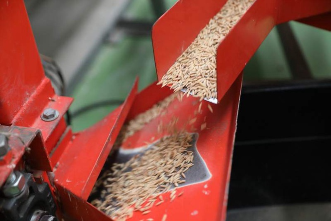 Image from: Karnal: 6 committees formed to assess CMR delivery status in rice mills as deadline approaches