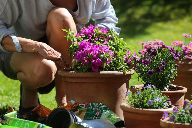 Image from: Hidden plastics in your garden and how to ditch them