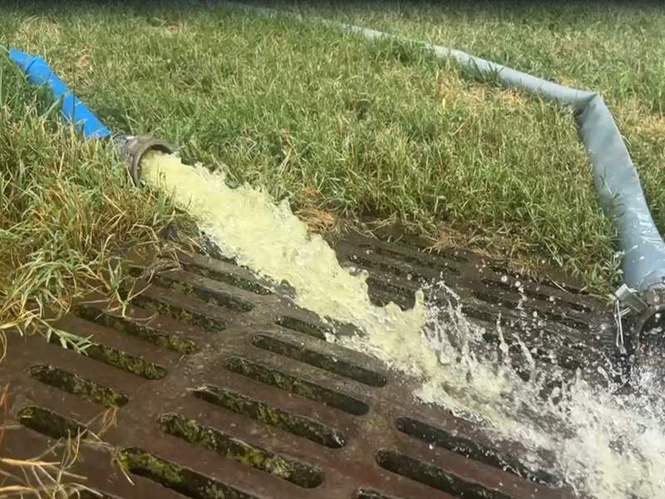 Image from: US National Park Service launches cleanup of Lincoln Memorial Reflecting Pool after algae outbreak