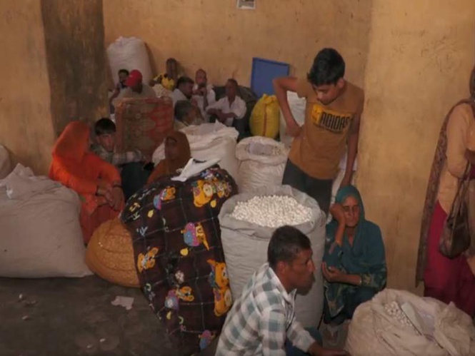 Image from: J-K: Cocoon auction market in Udhampur generates Rs 3.5 crore revenue, boosts women participation