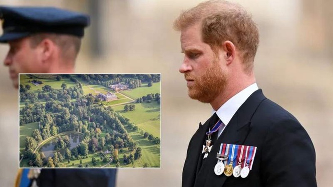 Image from: Prince Harry 'could take Archie and Lilibet to visit Diana's grave for the first time'