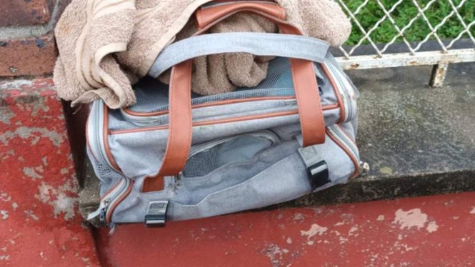 Image from: Rescuers' hearts race as they open a pet carrier abandoned on a wall