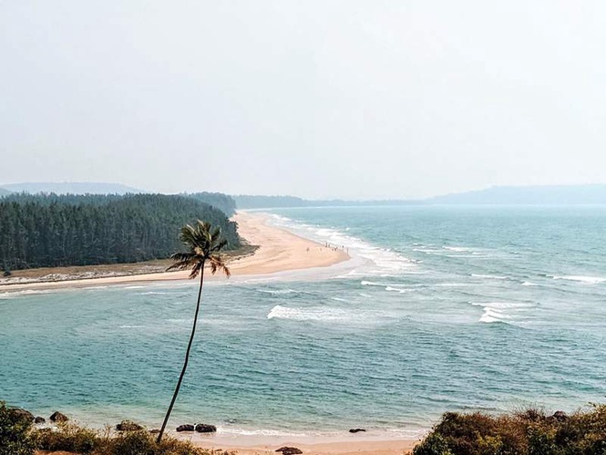 Image from: Maharashtra: Five tourists drown at Ganpatipule beach in Ratnagiri district, 3 rescued
