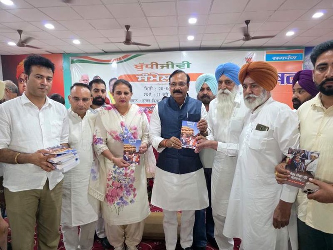 Image from: Punjab BJP celebrates 12 yrs of Modi govt