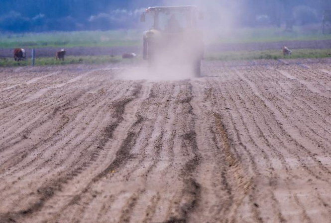 Image from: German farmers warn of liquidity crisis as prices fall and costs rise