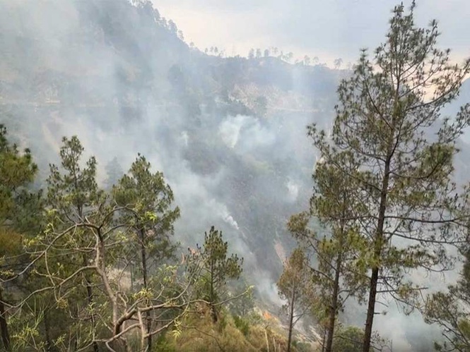 Image from: Reasi: Major forest fire breaks out in Salal forest area, firefighting underway