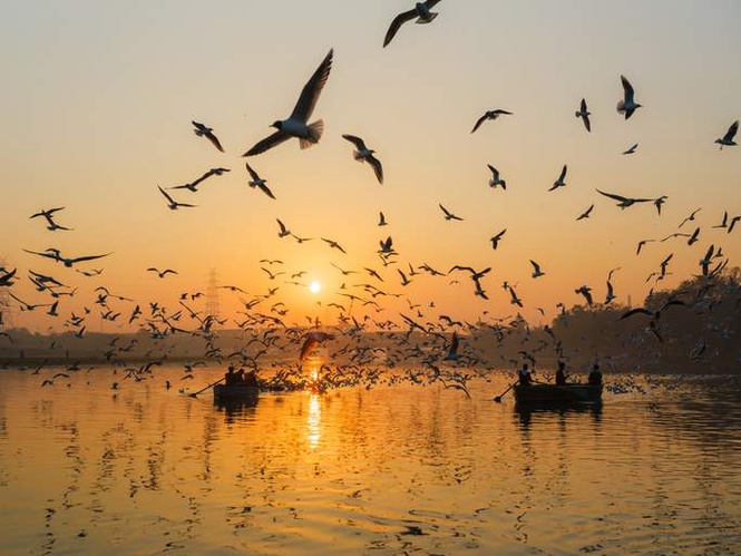 Image from: Sultanpur Park gets AI eyes: Smart cameras, drones to track bird migration for Haryana’s first digital census