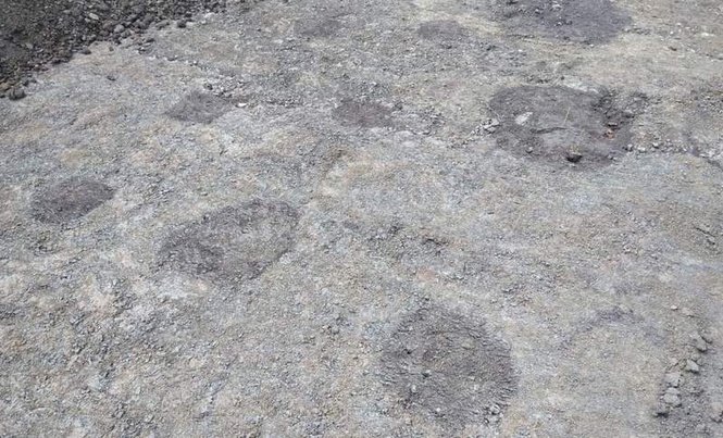 Image from: Archaeologists Were Digging in a German Field for a Wind Project and Found a Medieval Town Lost for 600 Years