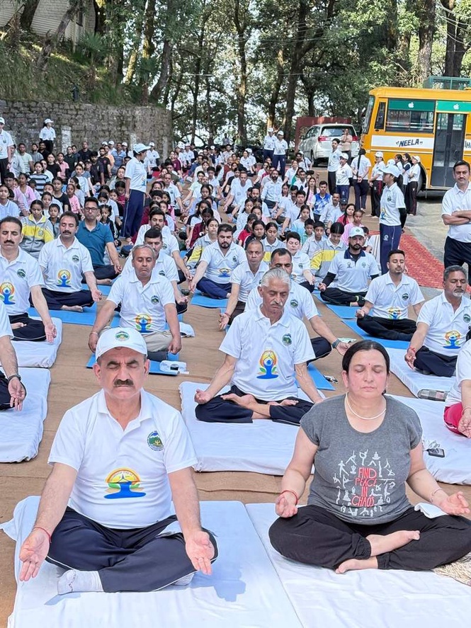 Image from: Practice asanas daily to cope with stress, ill effects of digital world: VC