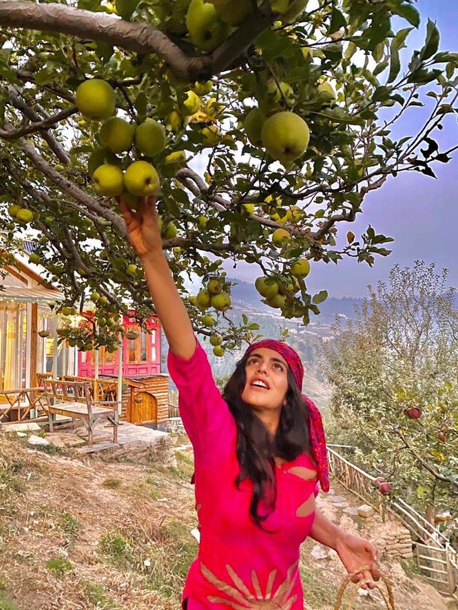 Image from: From apple plucking to farm stays, orchard tourism is drawing travellers away from crowded hill stations and into the heart of its fruit-growing countryside