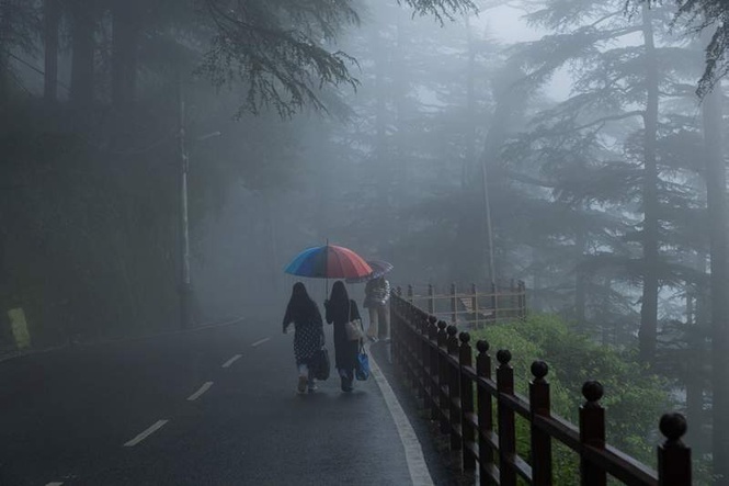 Image from: Heavy rain to continue in HP; yellow alert issued for all the 12 districts