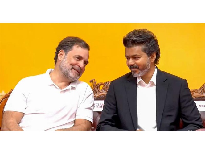 Image from: 'Stand with you in defending Tamil people's rights': Rahul Gandhi extends birthday wishes to CM Vijay