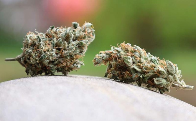 Image from: Major raids target Europe-wide drug ring operating from Germany