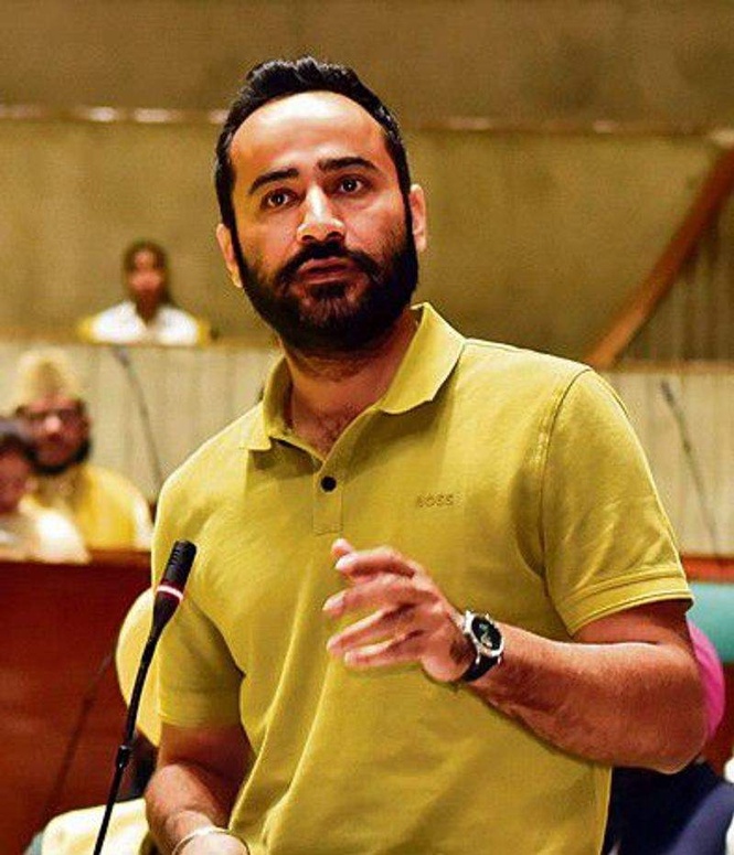 Image from: SC verdict on pedestrians’ rights vindicates concerns raised in Parliament: Sangrur AAP MP Hayer