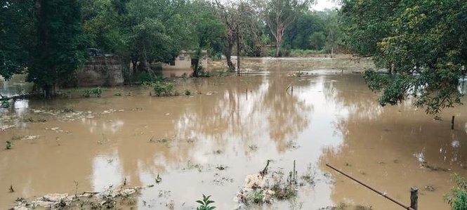 Image from: Breach in canal floods Gurdaspur villages