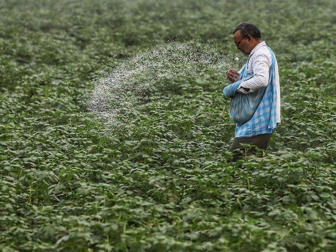 Image from: Fertiliser security challenge