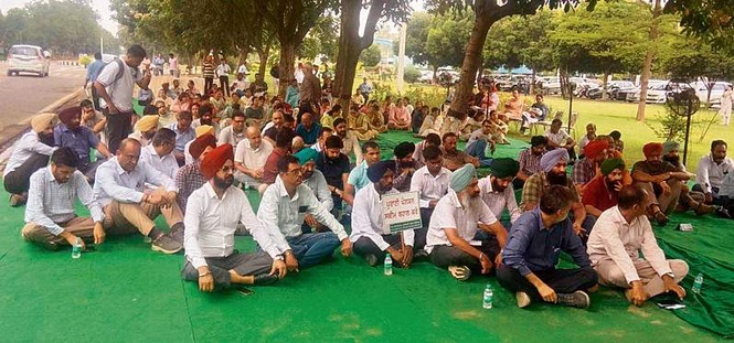 Image from: PAU teachers hold sit-in over ‘long-pending’ issues