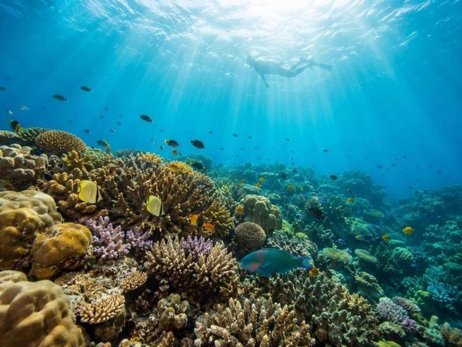 Image from: Havelock Island Draws More First-Time Scuba Divers, Including Those Who Cannot Swim