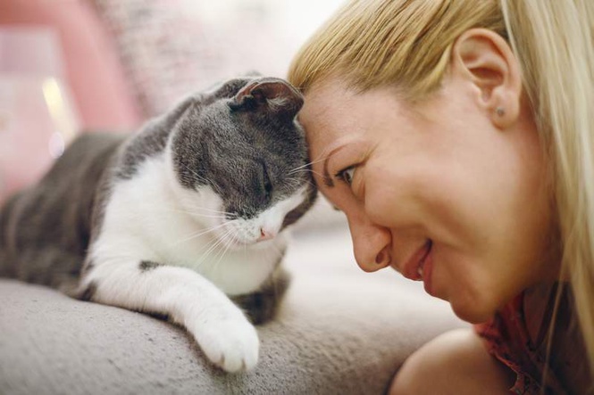 Image from: Cats age similar to humans, may provide insights into ageing-related diseases: Study
