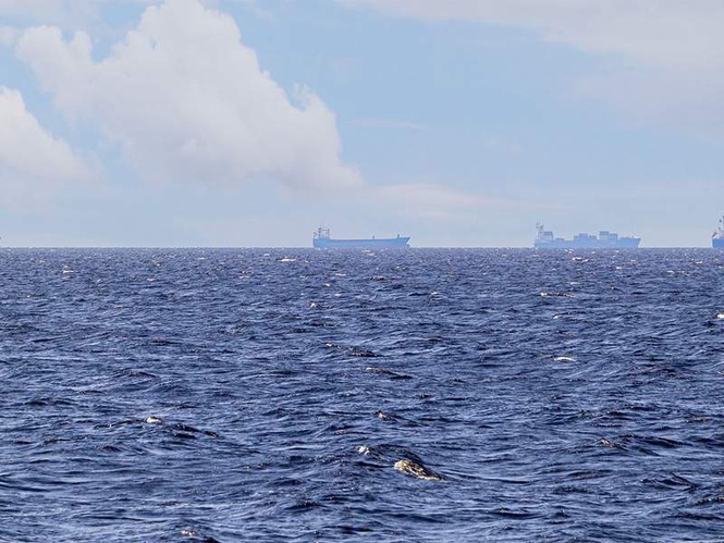 Image from: UN agency says major plan underway to evacuate 11,000 seafarers through Strait of Hormuz